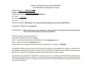 Ejemplo de Acuse de Recibo Electrónico REDECO